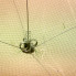 Хапуга рыболовная с косынкой 1,15 х 1,15 м, ячея: сетки -24 мм, косынок - 24 мм